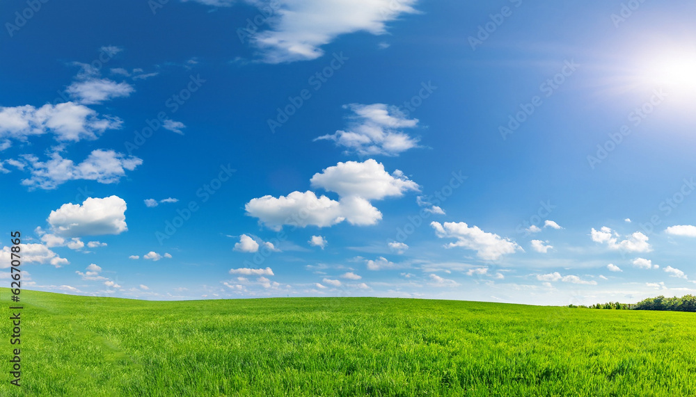 Panoramic natural landscape with green grass field meadow and blue sky with clouds, bright sun and horizon line. Panorama summer spring grassland in sunny day.