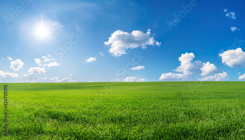 Panoramic natural landscape with green grass field meadow and blue sky with clouds, bright sun and horizon line. Panorama summer spring grassland in sunny day.