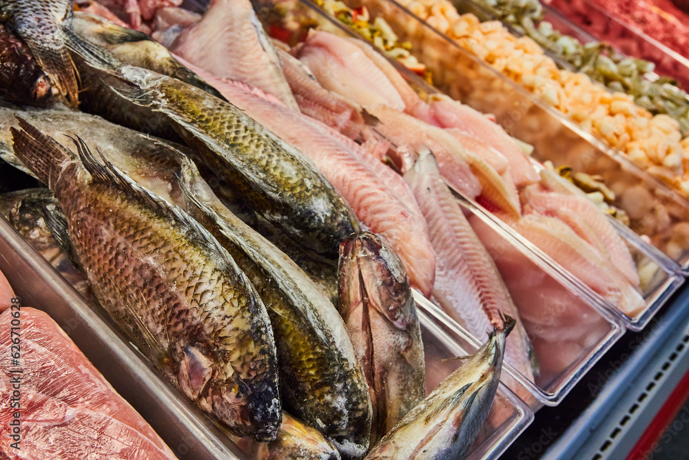 Uncooked fish, grocery store, meat department, full tilapia, catfish Uncooked fish, grocery store, meat department, full tilapia, catfish