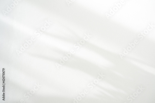 Empty studio interior background and backdrop and product display stand with shadow and white leaves on blank text background for inserting text.