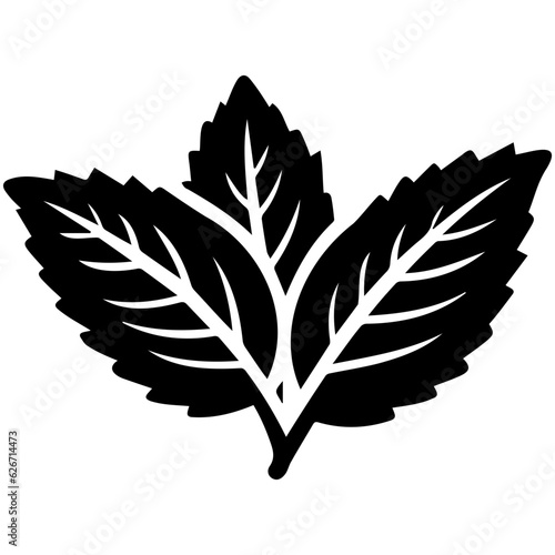 Mint Leaves
