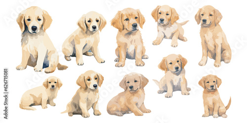 Watercolor Golden Retriever Puppies clipart for graphic resources