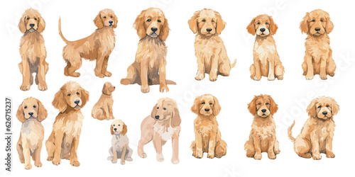 Watercolor Golden Doodle dog clipart for graphic resources