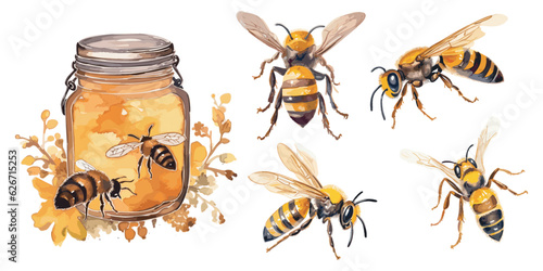 Watercolor honeybee clipart for graphic resources