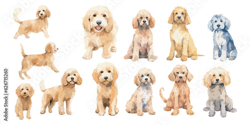 Watercolor Cockapoo dog clipart for graphic resources