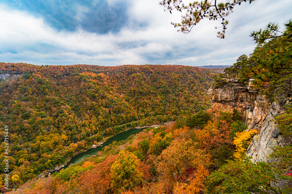 New River Gorge National Park | Endless Wall Trail - Diamond Point Overlook