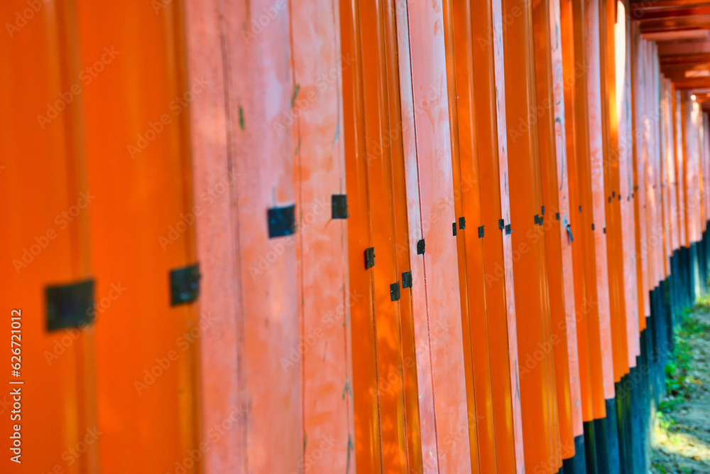 京都 伏見稲荷大社　美しい朱色の鳥居　（京都府京都市） Kyoto Fushimi Inari Taisha Shrine famous for beautiful vermilion torii gates (Kyoto City, Kyoto Prefecture, Japan) 