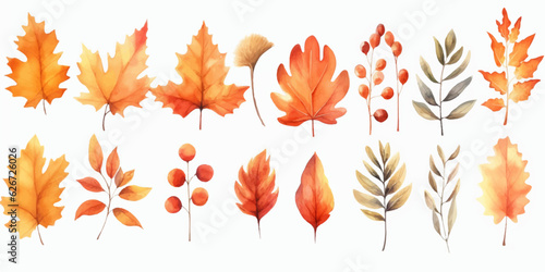 Vector watercolor Set of fall leaves, maple leaf, acorns, berries, spruce branch. Forest design elements. Hello Autumn illustrations. Perfect for seasonal advertisement, invitations, cards