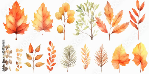 Vector watercolor Set of fall leaves  maple leaf  acorns  berries  spruce branch. Forest design elements. Hello Autumn illustrations. Perfect for seasonal advertisement  invitations  cards