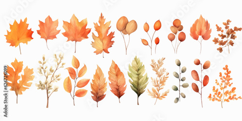 Fototapete Vector watercolor Set of fall leaves, maple leaf, acorns, berries, spruce branch