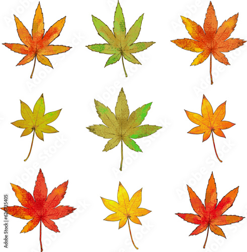 紅葉したもみじの葉の水彩風イラストセット