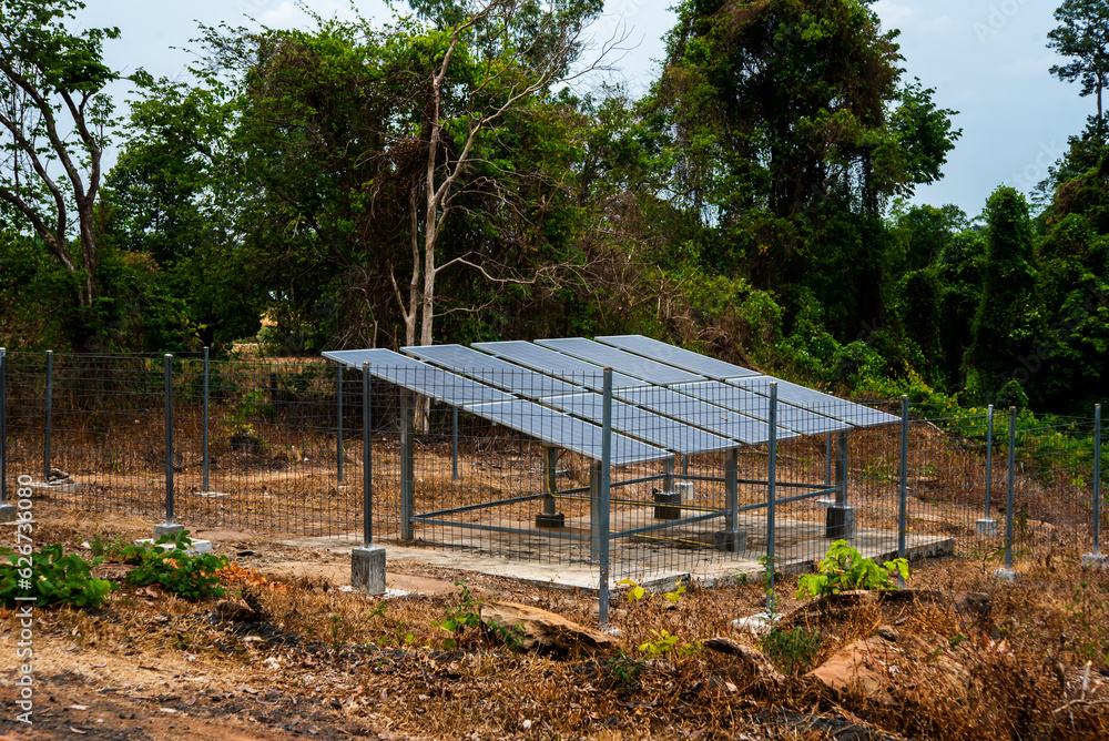 Forest view features solar panels harmoniously integrated into the landscape, enclosed within protective metal cages.