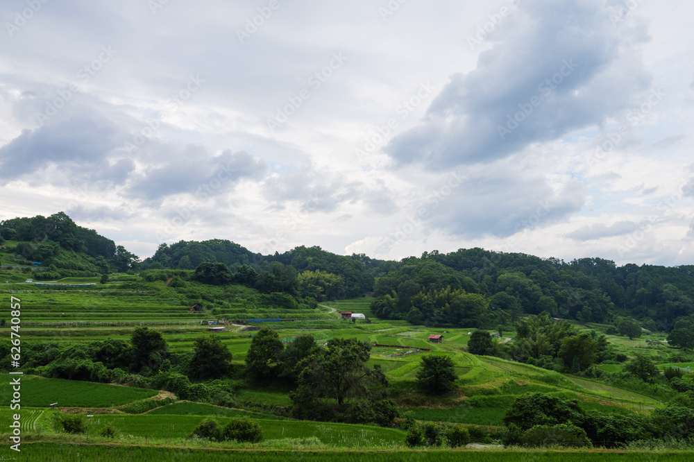 Scenery of terraced rice fields in a farming village, summer Scenery of terraced rice fields in a farming village, summer