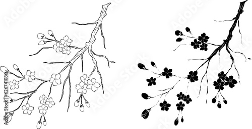 Free hand Sakura flower vector set, Beautiful line art Peach blossom isolate on white background.Cherry blossom illustration set.Element for weding card or printing on backdrop.