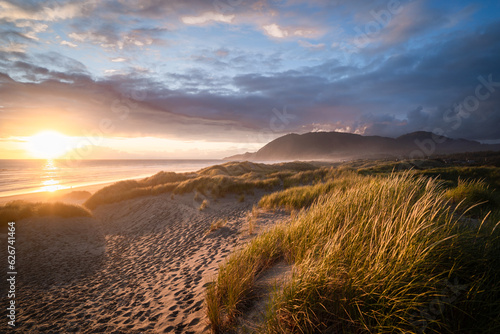 Oregon Coast Dunes © Mikhail