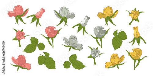 Set of hand drawn flat roses blooming heads. Vector isolated rose, yellow and white flowers with leaves on white background. Perfect for stickers, tatoo, pattern, background, wrapping paper © Olena