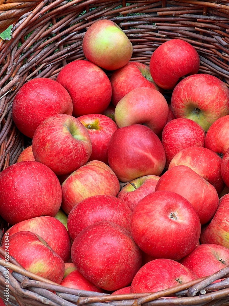 apples in a basket apples in a basket