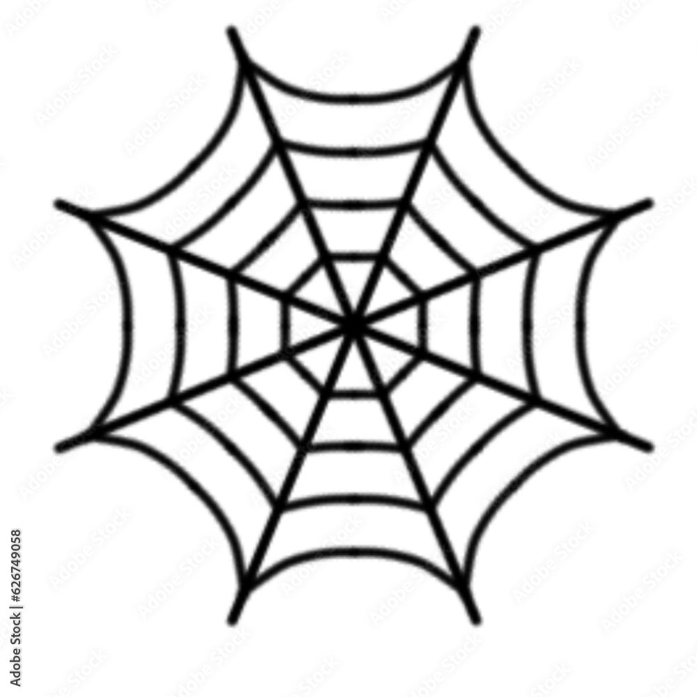 Obraz premium spider web