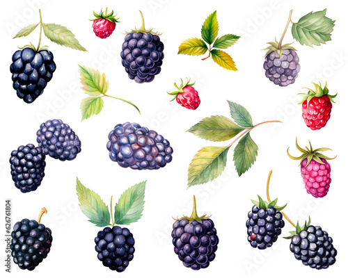 Set of Blackberry fruit watercolor with green leaves isolated on white background. PNG transparent background. AI Generative.