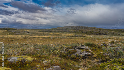 Nature of the south of Patagonia. Sparse stunted vegetation on the rocky soil of the island. Clouds in the sky. Ushuaia. Argentina. Tierra del Fuego Archipelago. Bridges Island.
