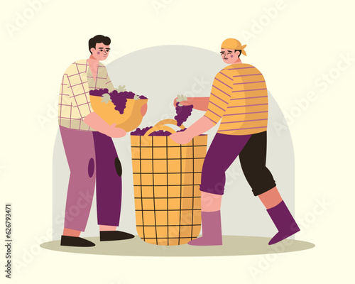 Male carry basket with berries, man sorting grapes. Cartoon characters making wine. Wine production industry. Flat vector illustration in yellow and purple colors