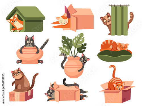 Cute cat hiding. Funny domestic cat faces with curious emotion, funny playful kitty animals in spy pose. Vector flat collection