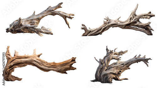 driftwood Generative AI