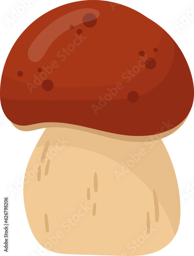 Boletus Edulis Mushroom Plant