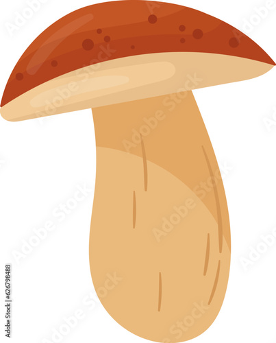 Boletus Edulis Mushroom Plant