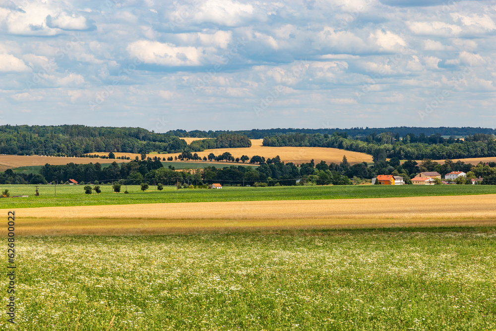 Summer landscape with fields and forests in the Czech Republic