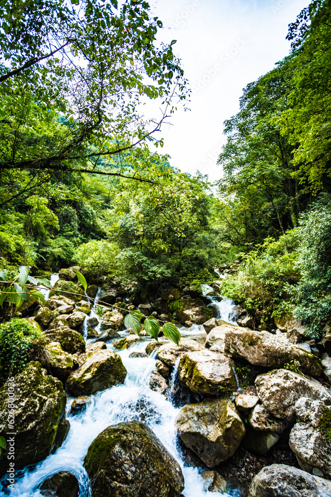 Chengdu City, Sichuan Province - Back Mountain of Qingcheng Mountain Chengdu City, Sichuan Province - Back Mountain of Qingcheng Mountain