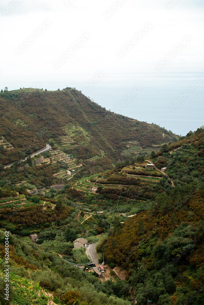 Green hills of Cinque Terre