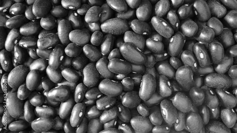 Black turtle beans are not only delicious but also highly nutritious