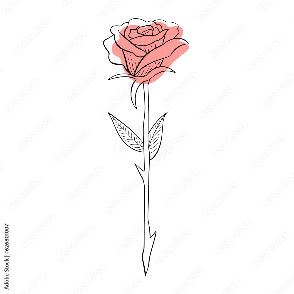 Rose Rose