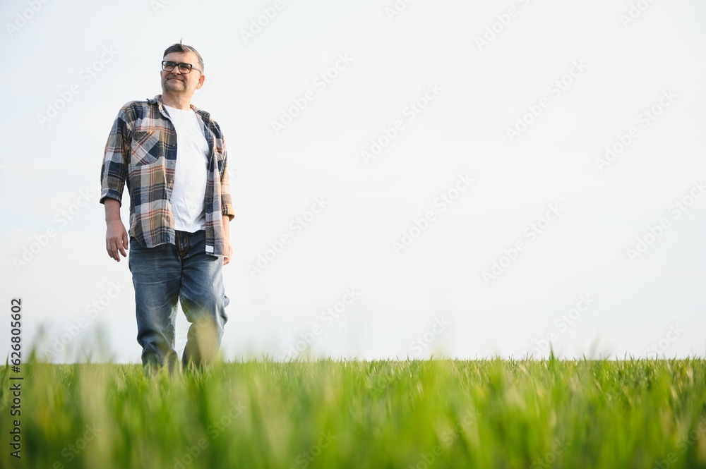Portrait of senior farmer standing in green wheat field. Portrait of senior farmer standing in green wheat field.