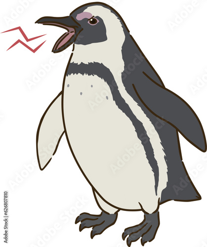 怒るケープペンギン