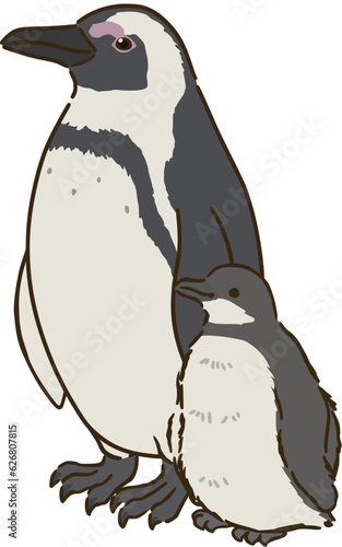 ケープペンギンの親子