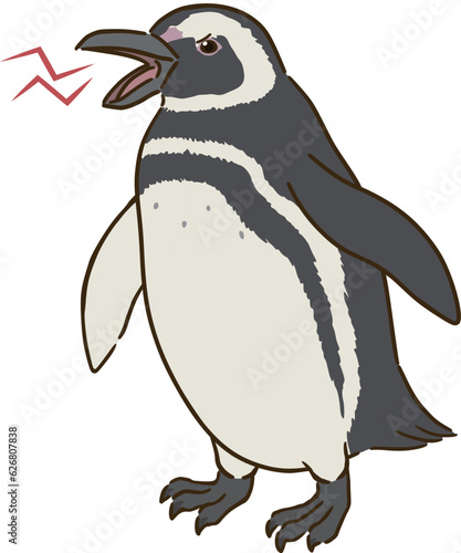 怒るマゼランペンギン