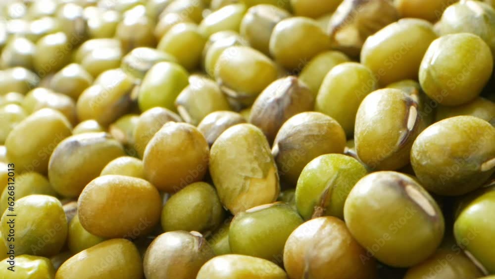 Explore Mung bean seeds like never before, In this macro video with a probe lens, witness the intricate patterns, textures, and vibrant green hues of these tiny marvels. Food and grain concept Explore Mung bean seeds like never before, In this macro video with a probe lens, witness the intricate patterns, textures, and vibrant green hues of these tiny marvels. Food and grain concept