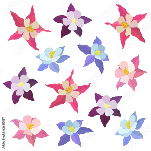 Vector illustration of aquilegia flowers of different colors Vector collection of colored aquilegia