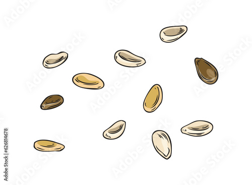 Hand drawn colorful sesame seeds sketch style, vector illustration