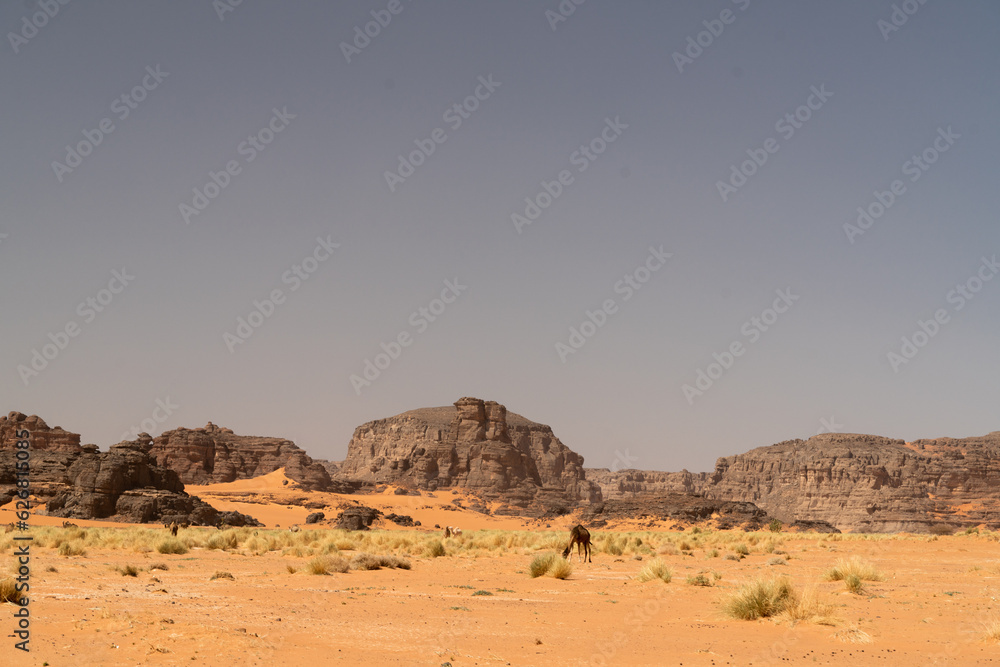 view in the Sahara desert of Tadrart rouge tassili najer in Djanet City ,Algeria.colorful orange sand, rocky mountains
view in the Sahara desert of Tadrart rouge tassili najer in Djanet City ,Algeria.colorful orange sand, rocky mountains