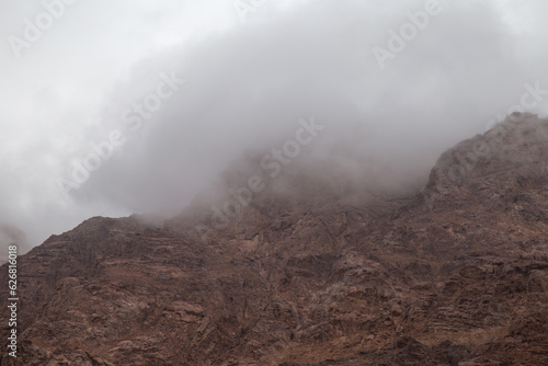 Sinai Beauty