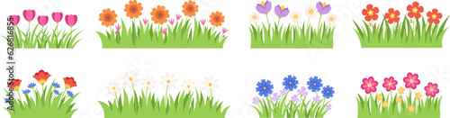 Flat garden flowers in grass, tulip and chamomile blossom. Gardening plants, flower borders or meadow elements. Isolated racy vector collection