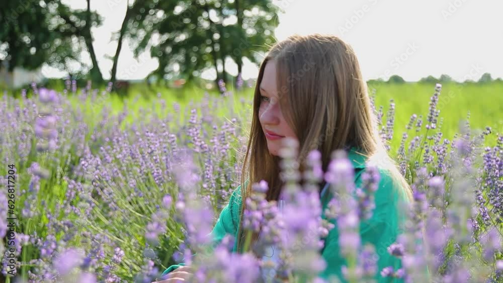A teenage girl admires the lavender blossoms. Lavender field. Cultivated lavender. A teenage girl admires the lavender blossoms. Lavender field. Cultivated lavender.