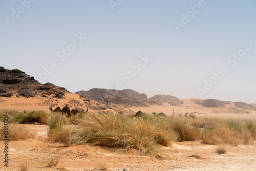 view in the Sahara desert of Tadrart rouge tassili najer in Djanet City ,Algeria.colorful orange sand, rocky mountains 