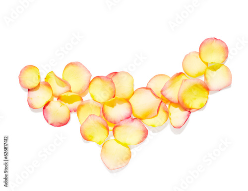 Yellow rose petals isolated on white background
