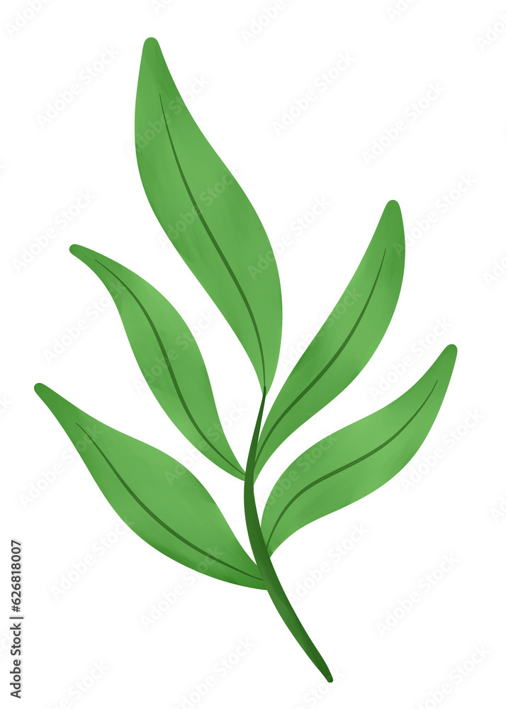 green branch leaves twigs floral plant on transparent background