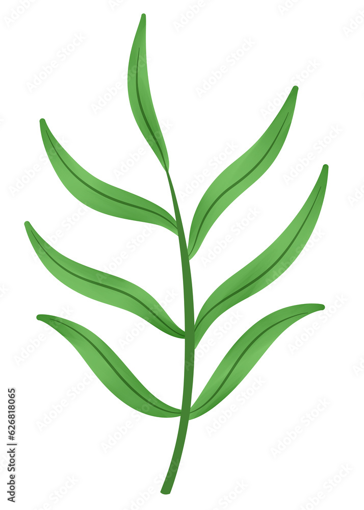 Obraz premium Green tree leaves illustration watercolor fresh natural on transparent background