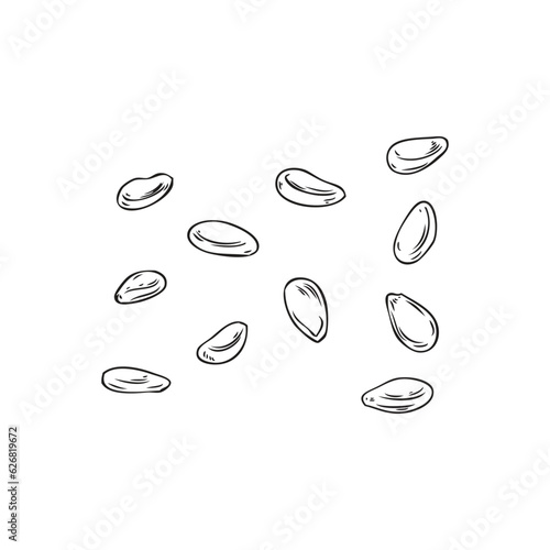 Engraving Sesame seed vector cartoon illustration, spices, dry grain, black corns, Black and white hand drawn sketch